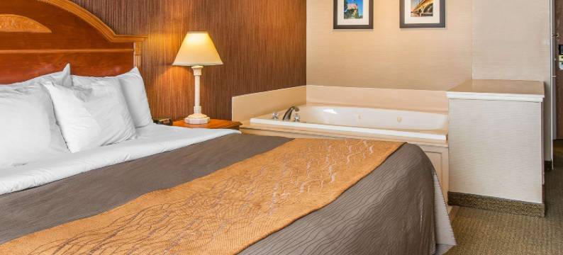 切尔西舒适酒店(Comfort Inn)图片