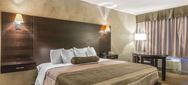 会议中心品质酒店(Quality Hotel & Conference Centre)图片