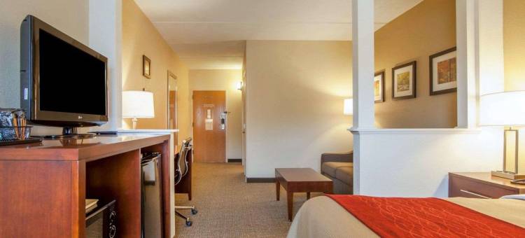 皇家之蓝舒适酒店(Comfort Inn at Royal Blue)图片