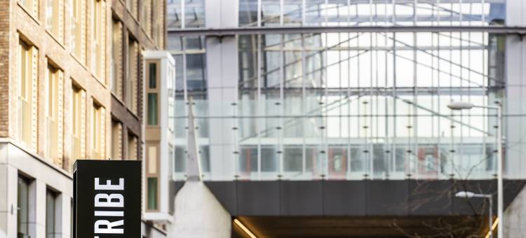 雅高芮族阿姆斯特丹城市酒店(Tribe Amsterdam City)图片