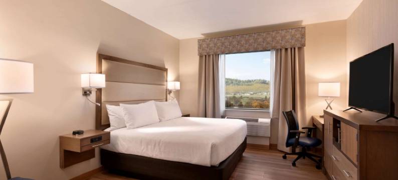 州立学院温德姆花园酒店(Wyndham Garden State College)图片