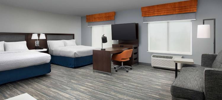 拉什莫尔拉皮德城欢朋套房酒店(Hampton Inn & Suites Rapid City Rushmore)图片