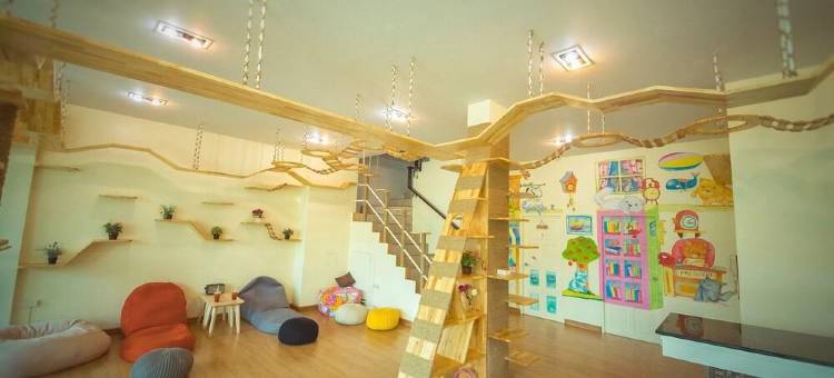 猫的故事酒店(Cat Story Hotel Phuket)图片
