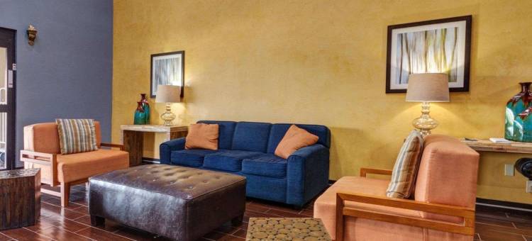 雷哈伯德湖舒适套房酒店(Comfort Suites Lake Ray Hubbard)图片