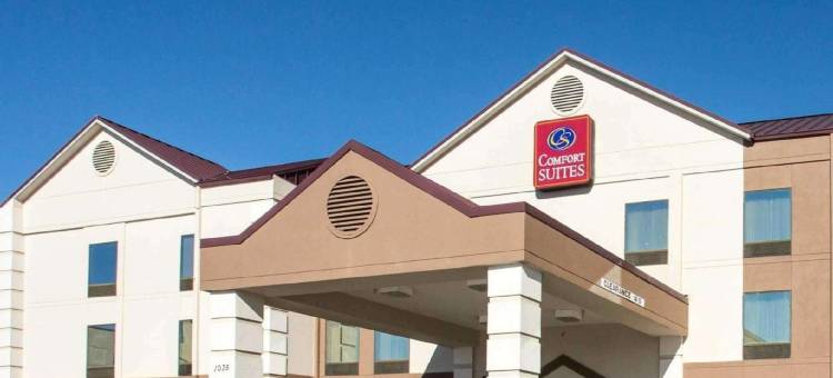 库克维尔舒适套房酒店(Comfort Suites Cookeville)图片