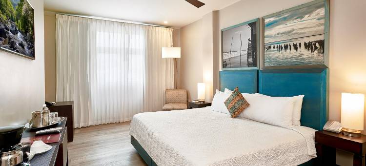 金斯敦R酒店(R Hotel Kingston)图片