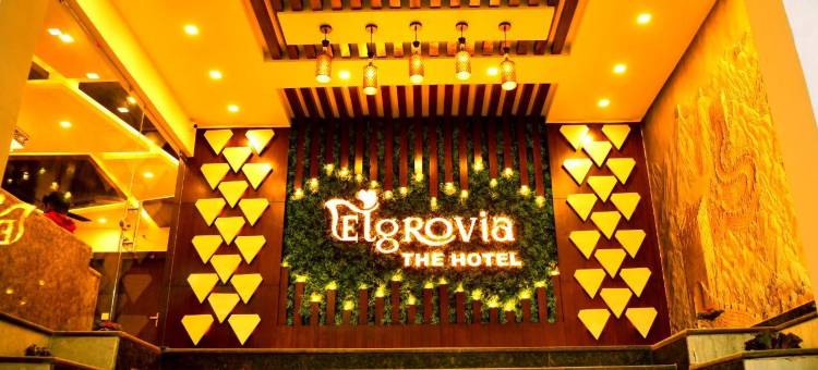 埃尔格罗维亚酒店(Hotel Elgrovia, Haridwar)图片
