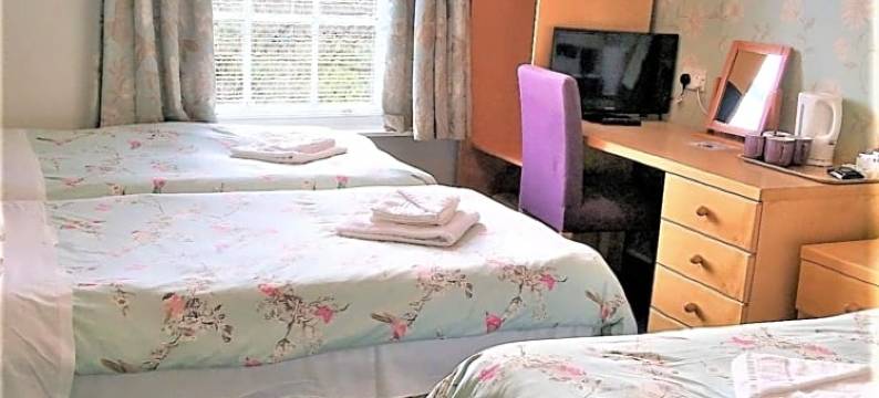 路德国王别墅酒店(Luther King House)图片