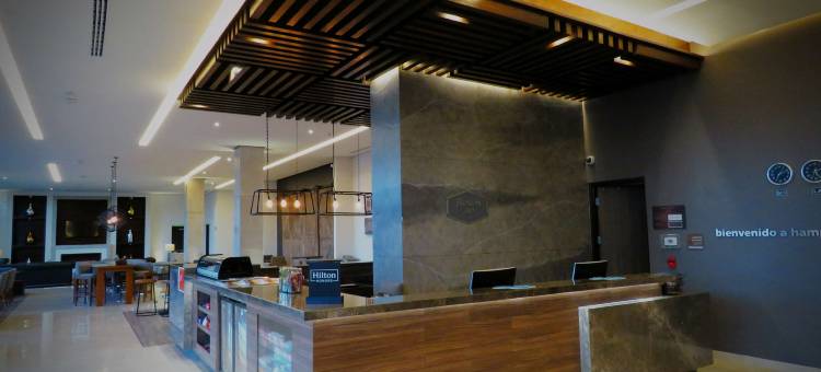 塞拉亚欢朋酒店(Hampton Inn by Hilton Celaya)图片
