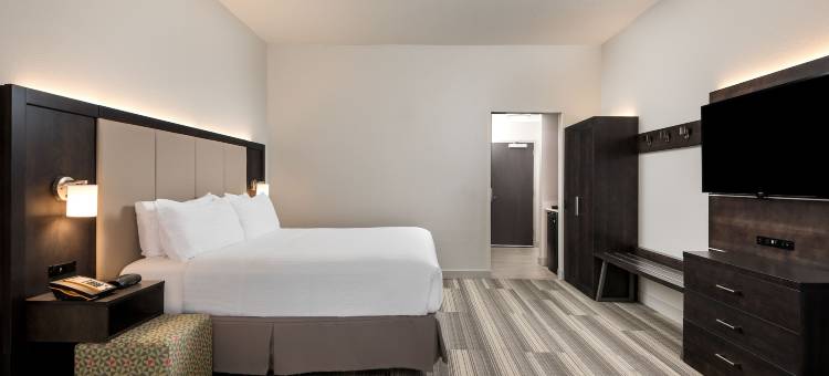 南莱克兰智选假日套房酒店(Holiday Inn Express & Suites Lakeland South)图片