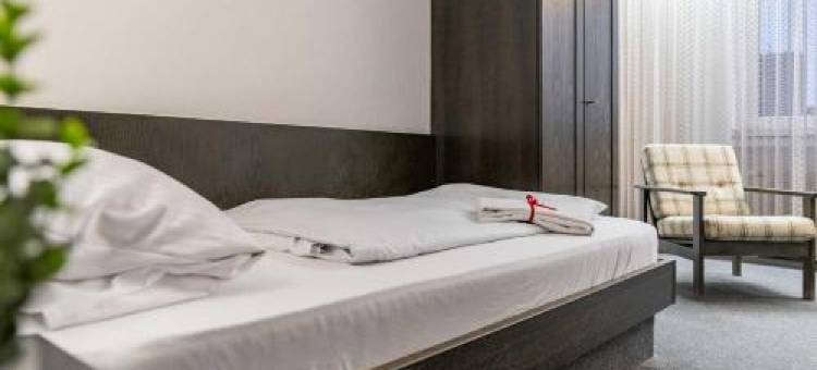 H&S 野马酒店(Hotel Wildpferd Dülmen)图片