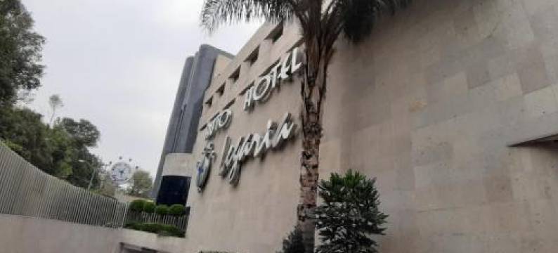 Auto Hotel Legaria图片