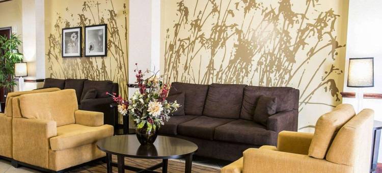 纽布朗费尔斯舒眠套房酒店(Sleep Inn & Suites New Braunfels)图片