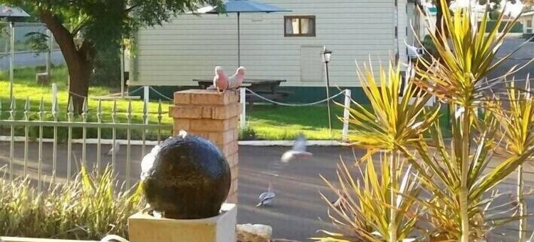 比格 4 埃克雷姆探索者假日公园酒店(Big4 Acclaim Prospector Holiday Park)图片