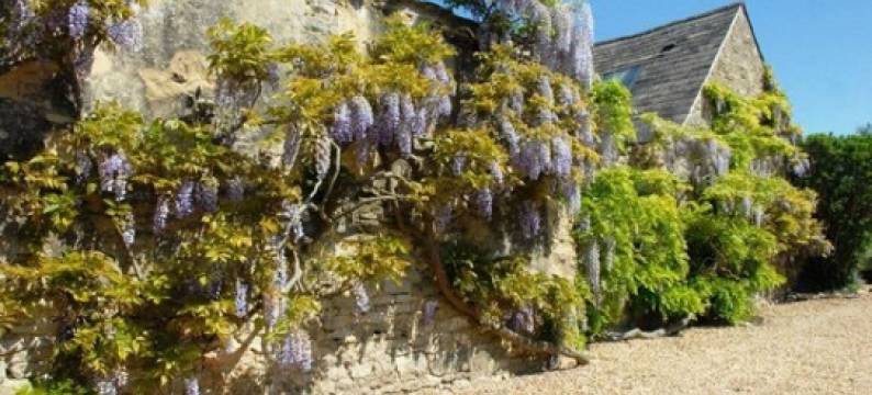 马尔堡武器酒店(Marlborough Arms)图片