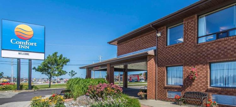 舒适酒店(Comfort Inn)图片