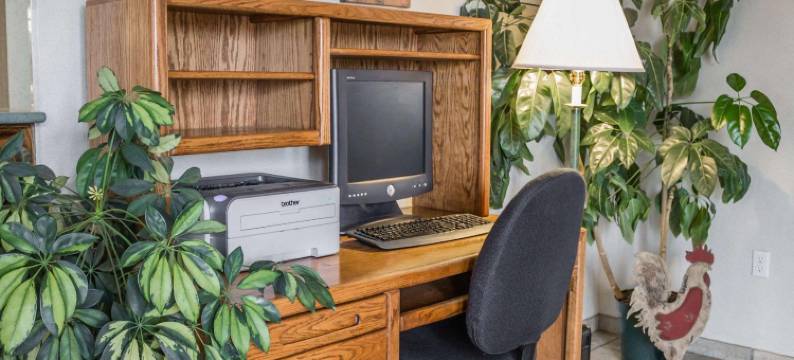 凯艺套房酒店(Quality Inn & Suites)图片