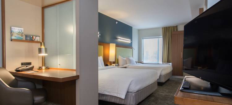 哥伦比亚市中心／维斯塔商业区万豪SpringHill酒店(SpringHill Suites Columbia Downtown/The Vista)图片