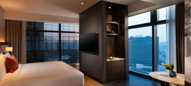 首尔板桥希尔顿逸林酒店(DoubleTree by Hilton Seoul Pangyo)图片