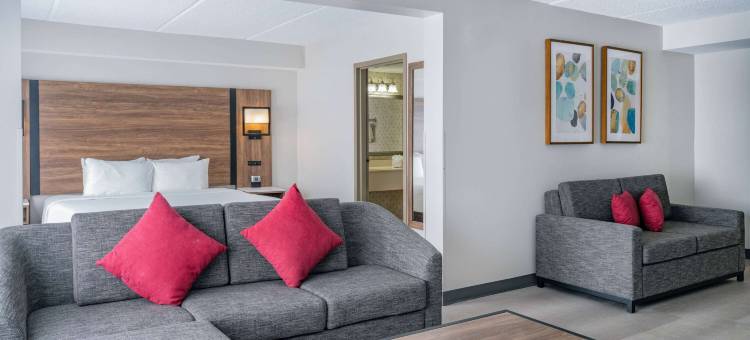 德卢斯-亚特兰大拉昆塔温德姆酒店及套房 by 温德姆(La Quinta Inn & Suites by Wyndham Duluth-Atlanta)图片