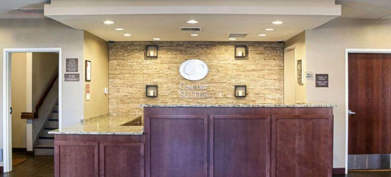 医疗中心舒适套房酒店(Comfort Suites Medical Center)图片