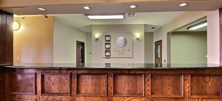 舒适酒店-爱丁堡南(Comfort Inn Edinburg South)图片