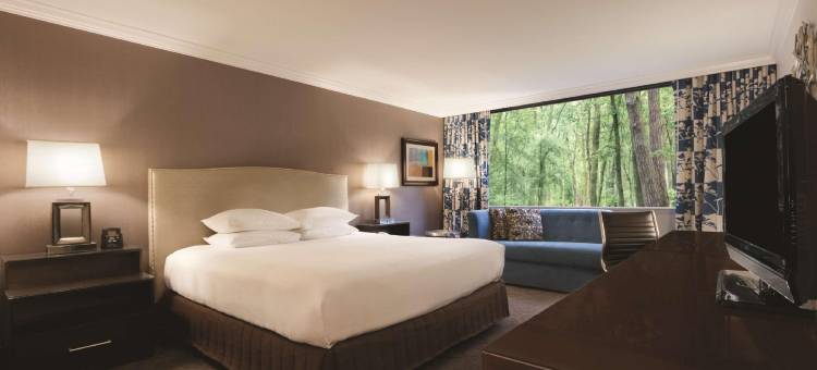 达拉姆希尔顿酒店靠近杜克大学(Hilton Durham Near Duke University)图片