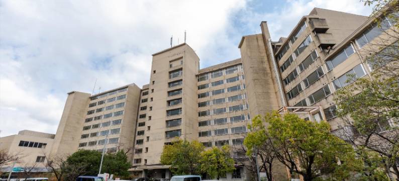 OYO宫岛Hourainosato广岛酒店(OYO Hotel Miyajima Inn Hourainosato Hatsukaichi)图片