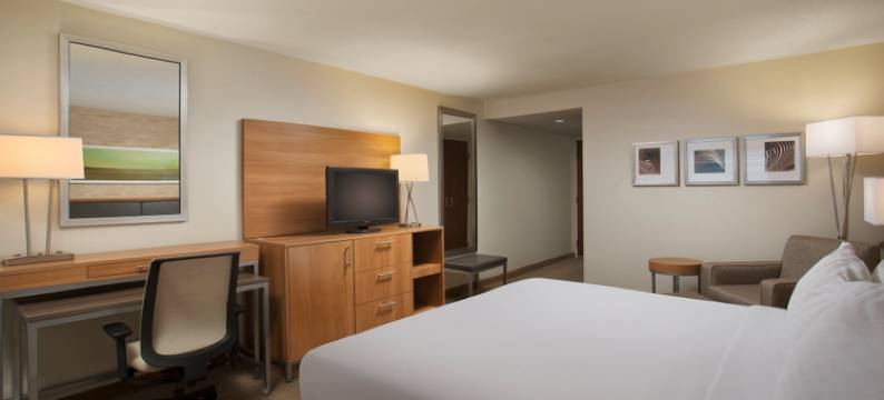 Holiday Inn 大急流城- 机场(Holiday Inn GRAND RAPIDS - AIRPORT by IHG)图片