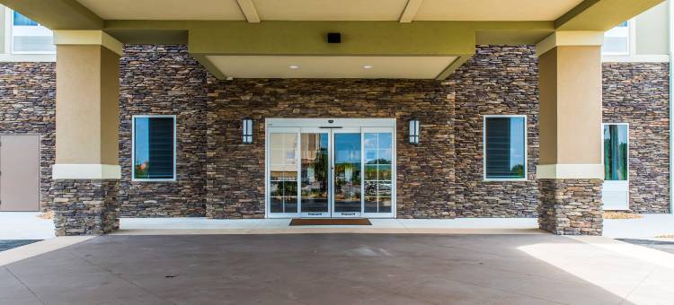 舒适套房酒店(Comfort Inn & Suites Valdosta)图片