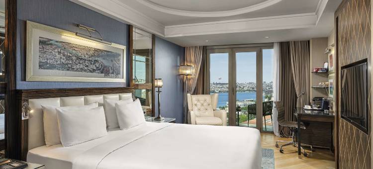 伊斯坦布尔佩拉丽笙酒店(Radisson Blu Hotel, Istanbul Pera)图片
