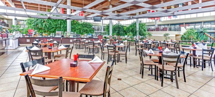 温德姆花园酒店-罗穆勒斯底特律机场(Wyndham Garden Romulus Detroit Metro Airport)图片