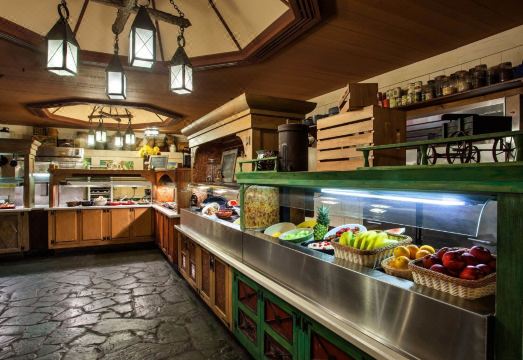 The Cabins at Disney's Fort Wilderness Resort Hotel Overview