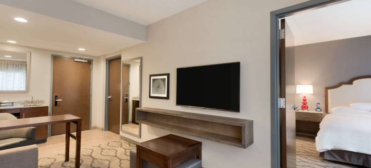 芝加哥内帕维希尔顿安泊酒店(Embassy Suites by Hilton Chicago Naperville)图片