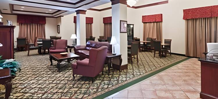智选假日套房酒店阿比林(Holiday Inn Express & Suites Abilene)图片