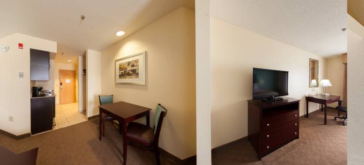 智选假日套房酒店格林斯伯勒东 by IHG(Holiday Inn Express & Suites Greensboro-East)图片