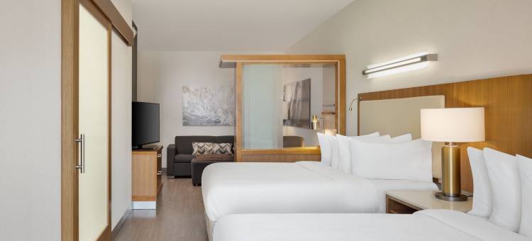 橘子海滩码头SpringHill Suites酒店(SpringHill Suites Orange Beach at the Wharf)图片