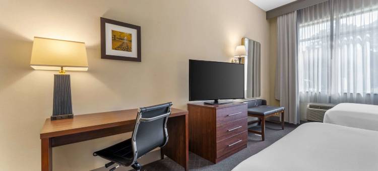 勒维尔坎伯兰舒适套房酒店(Comfort Inn & Suites LaVale - Cumberland)图片