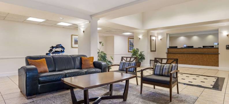 NRG公园医疗中心凯艺套房酒店(Quality Inn & Suites NRG Park - Medical Center)图片