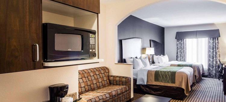 舒适套房酒店(Comfort Inn & Suites)图片