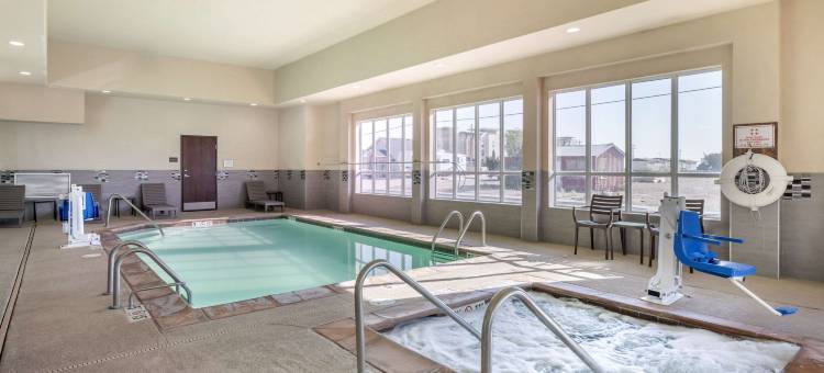 阿尔特西亚舒适酒店及套房(Comfort Inn &amp; Suites Artesia)图片