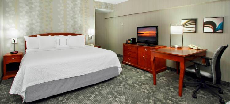 林德赫斯特梅多兰兹万怡酒店(Courtyard Lyndhurst Meadowlands)图片