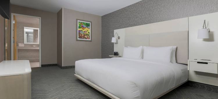 阿马里洛中央万枫套房酒店(Fairfield Inn & Suites Amarillo Central)图片