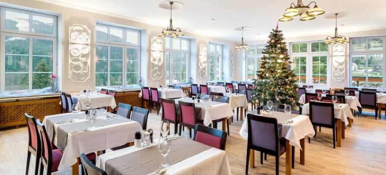 斯纳兹卡酒店(Hotel Sněžka)图片