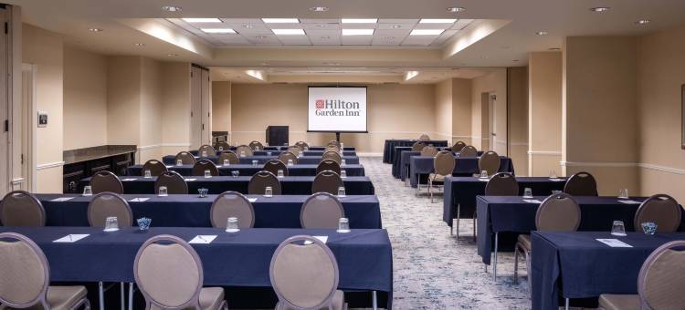 达拉斯李维斯维尔希尔顿花园酒店(Hilton Garden Inn Dallas Lewisville)图片