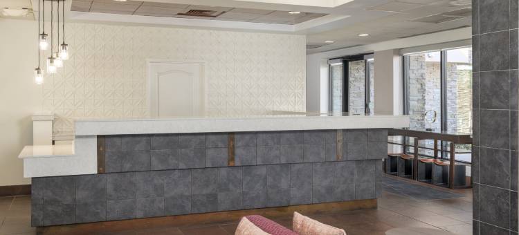 斯科特斯德北外围中心希尔顿花园客栈(Hilton Garden Inn Scottsdale North/Perimeter Center)图片