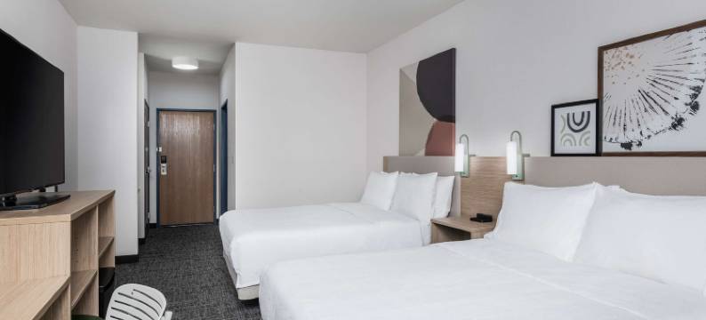 杜马斯希尔顿spark酒店(Spark by Hilton Dumas)图片