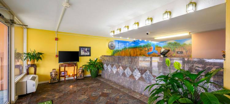 迪凯特伊克诺旅馆(Econo Lodge)图片