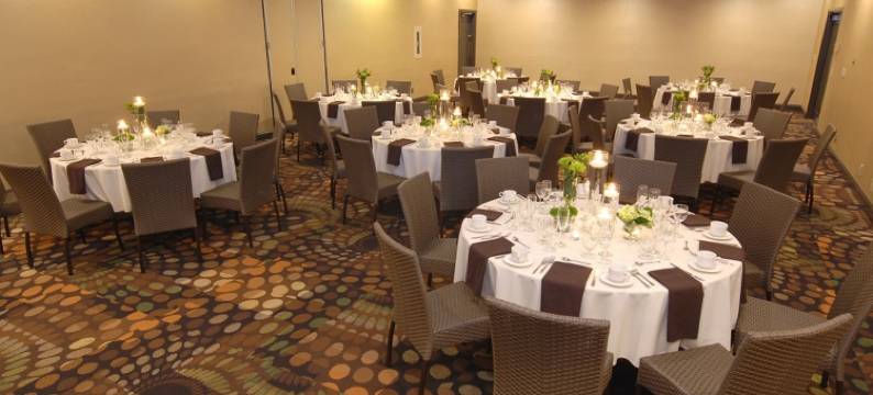 达拉斯爱田希尔顿大使套房酒店(Embassy Suites by Hilton Dallas Love Field)图片