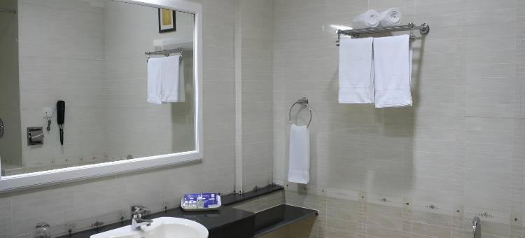 DSF大广场酒店(Hotel Dsf Grand Plaza)图片